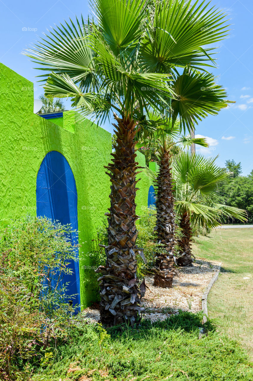 Row of palm trees along a bright, colorful building