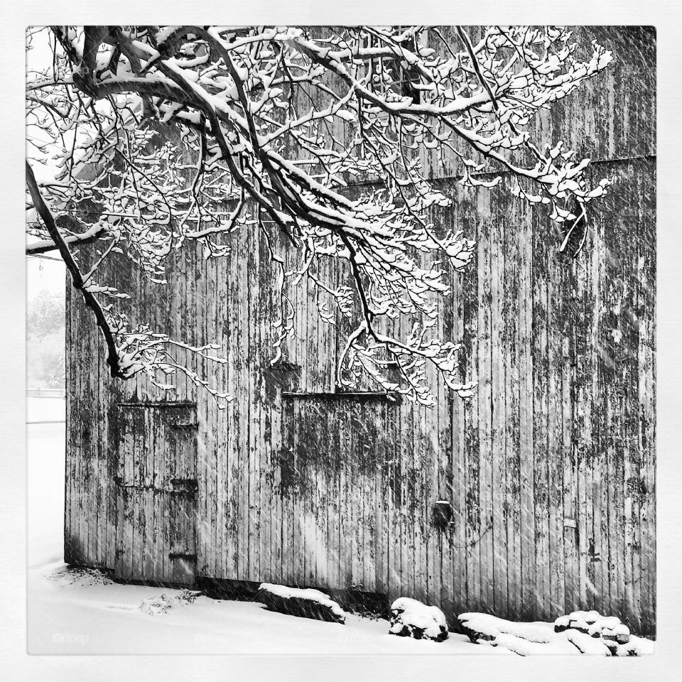 my snowy barn. Beautiful PA snow