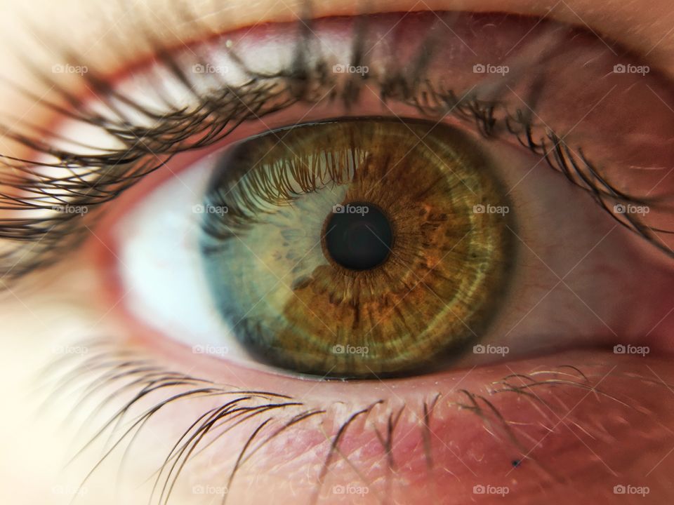 Extreme close-up of a human eye
