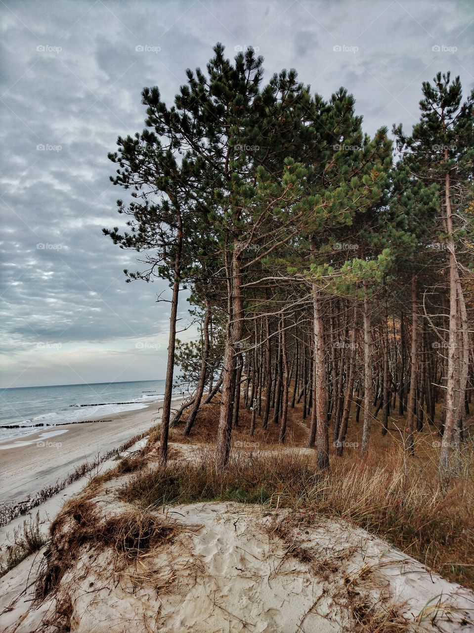 Baltic sea