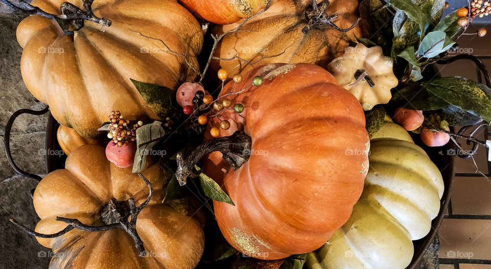 a pile of pumpkins for harvest.