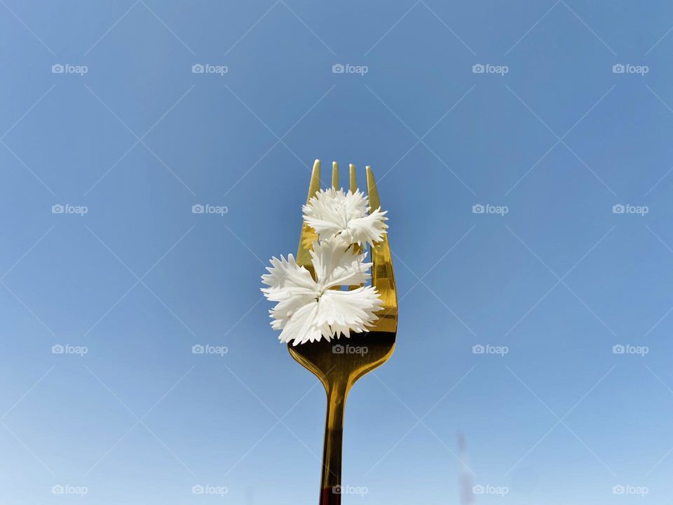 Fork