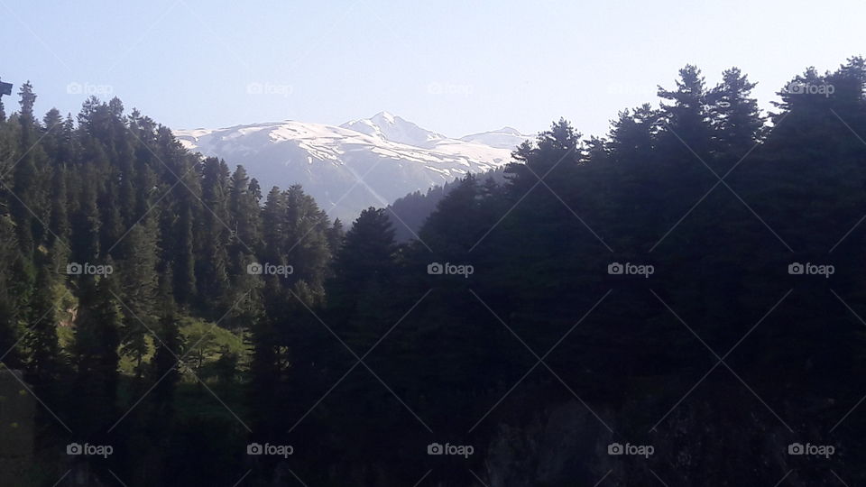 Source of Nallah "Weshoaw" / Aharbhul Water fall some 31k7ms away from Shopian Kashmir India.
Place worth fishing , tracking during these awesome fully sunny days & worth Snow Skiing during Chilly Winter season .