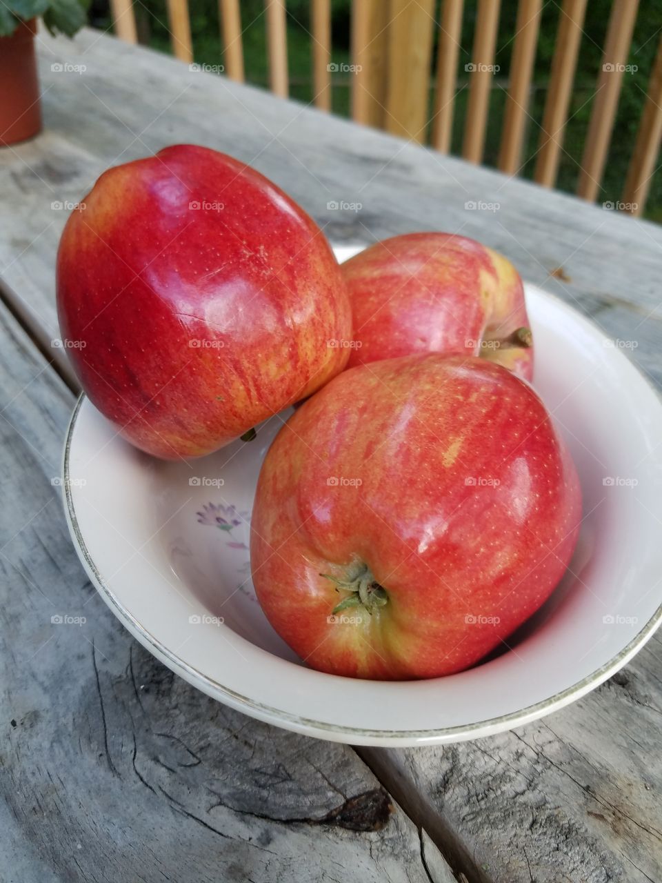 One apple a day keeps the doctor away