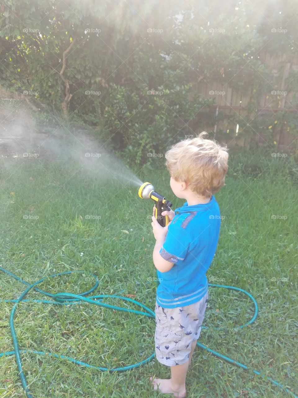 watering the grass