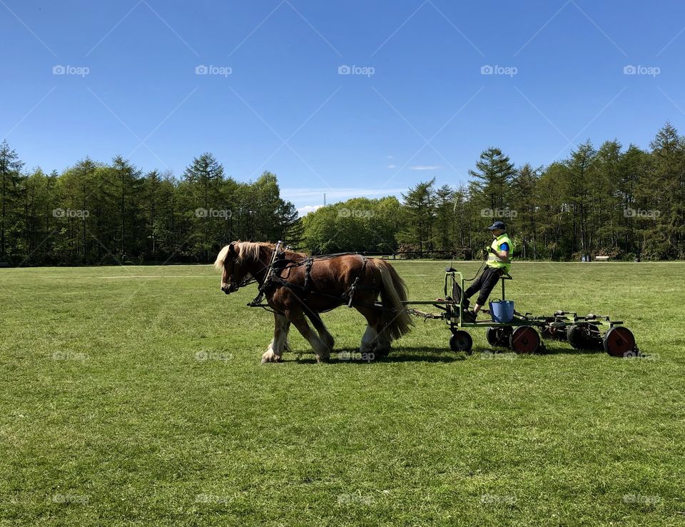 Cutting grass, farming