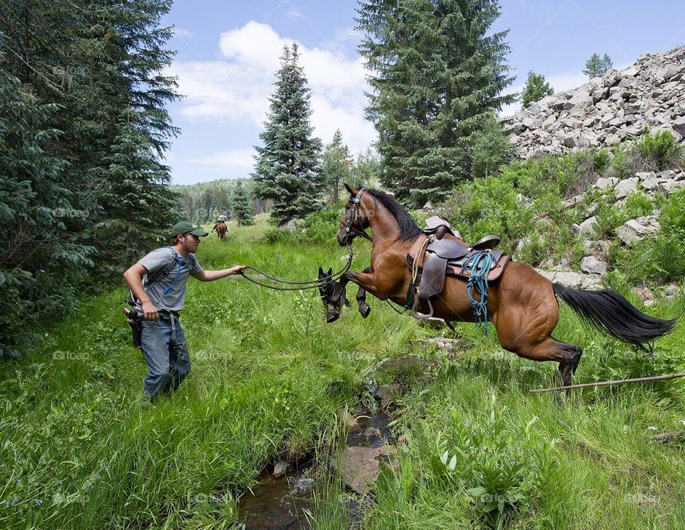 The owner of a horse coaxes it over a small stream in NE Arizona