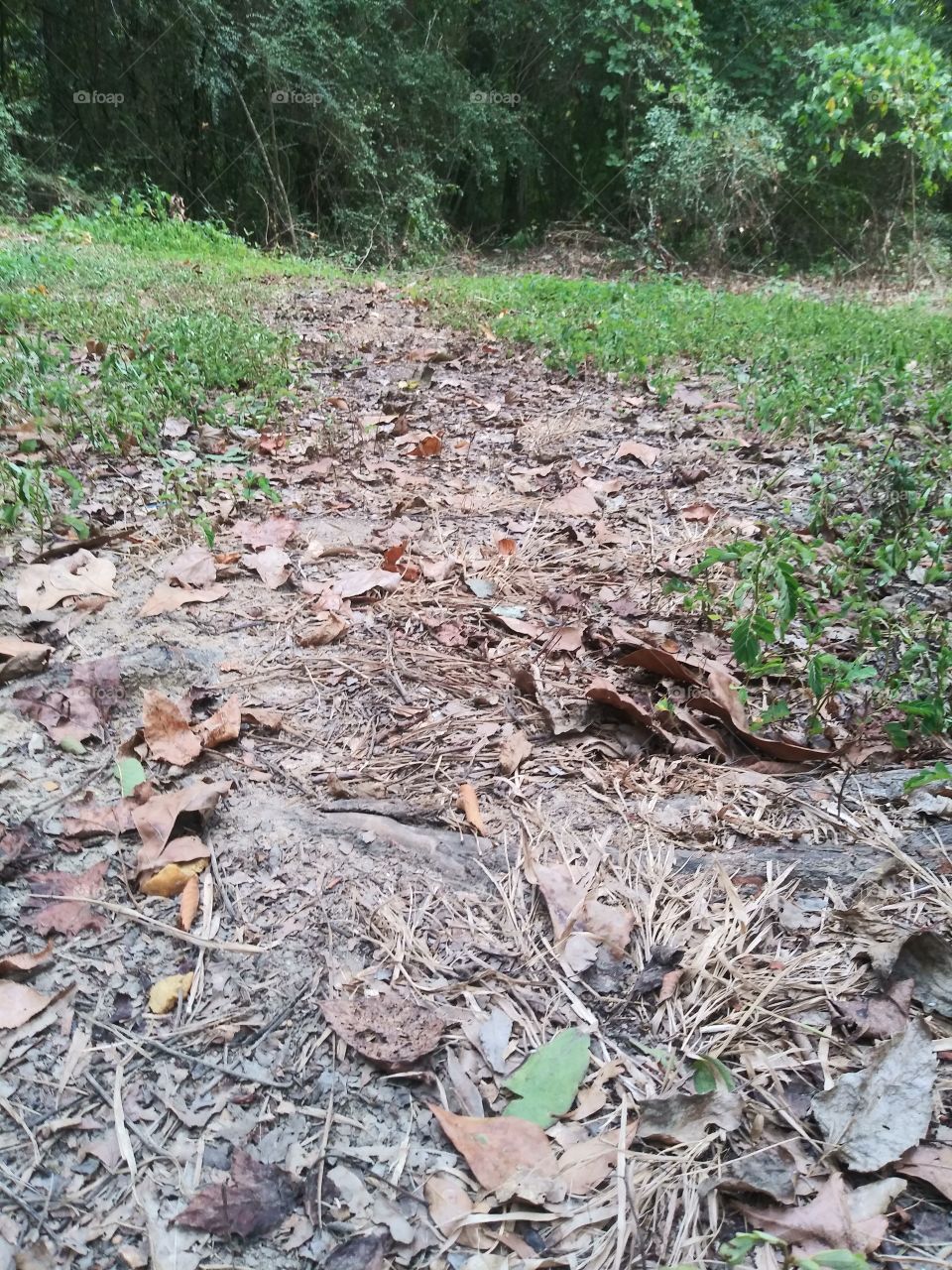 The path less traveled