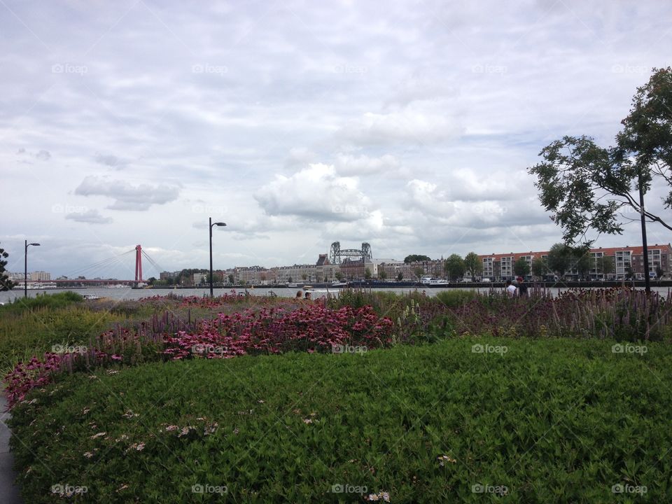 Rotterdam view