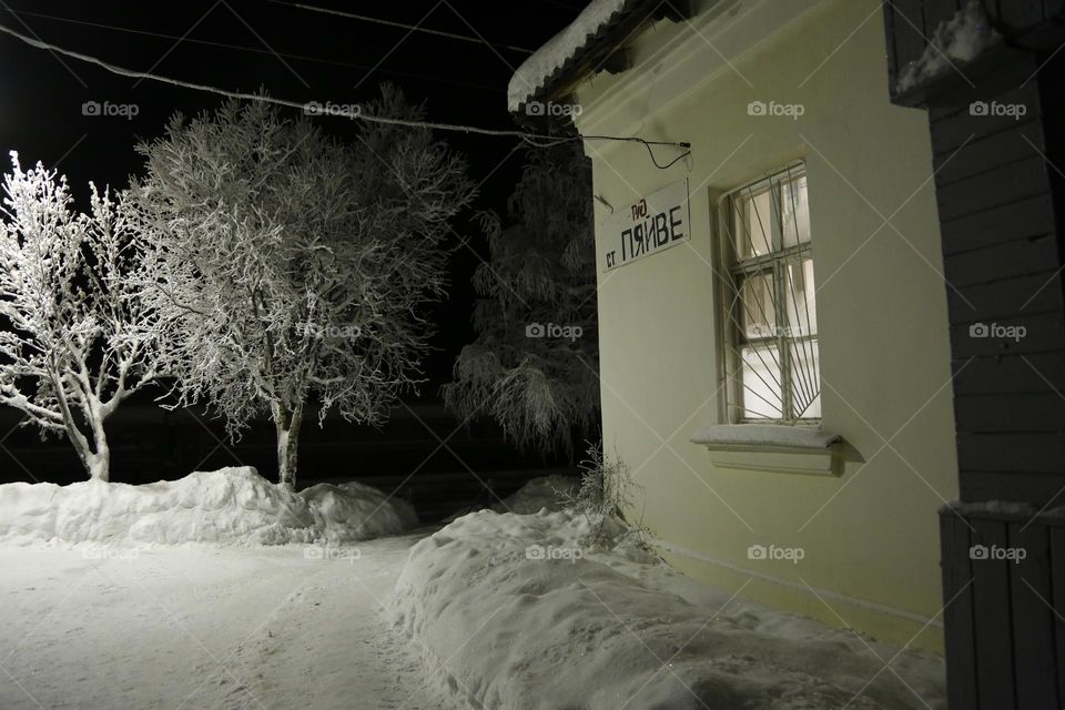 Frosted tree near small station above the Arctic Circle