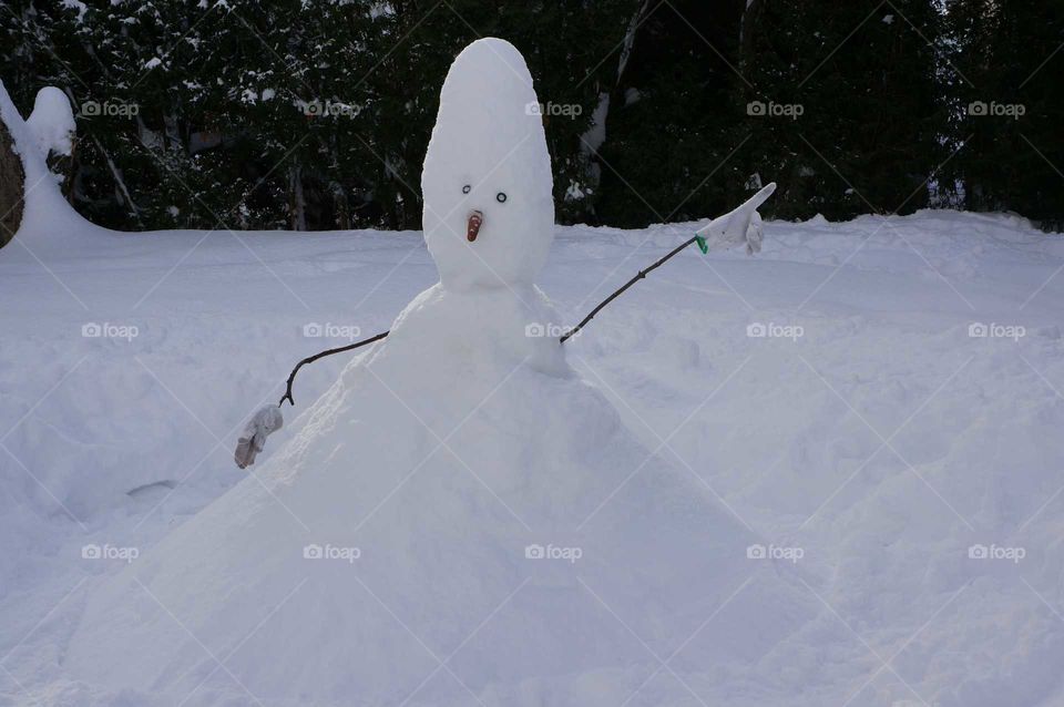 A snowed-on snowman