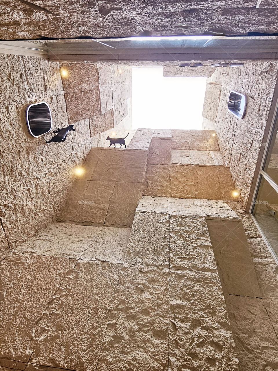 Black cats and multiple spatial levels and light sources