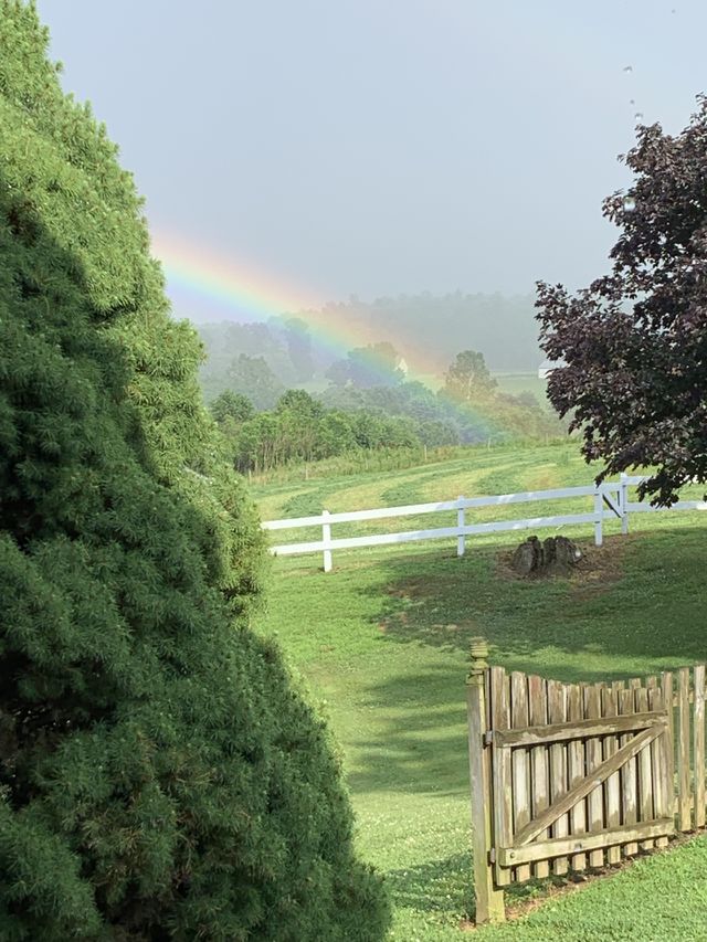 Rainbow