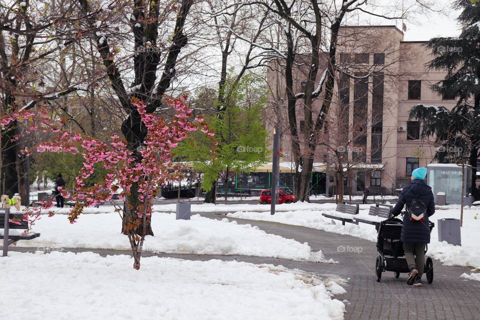 A park after the snowing during the spring