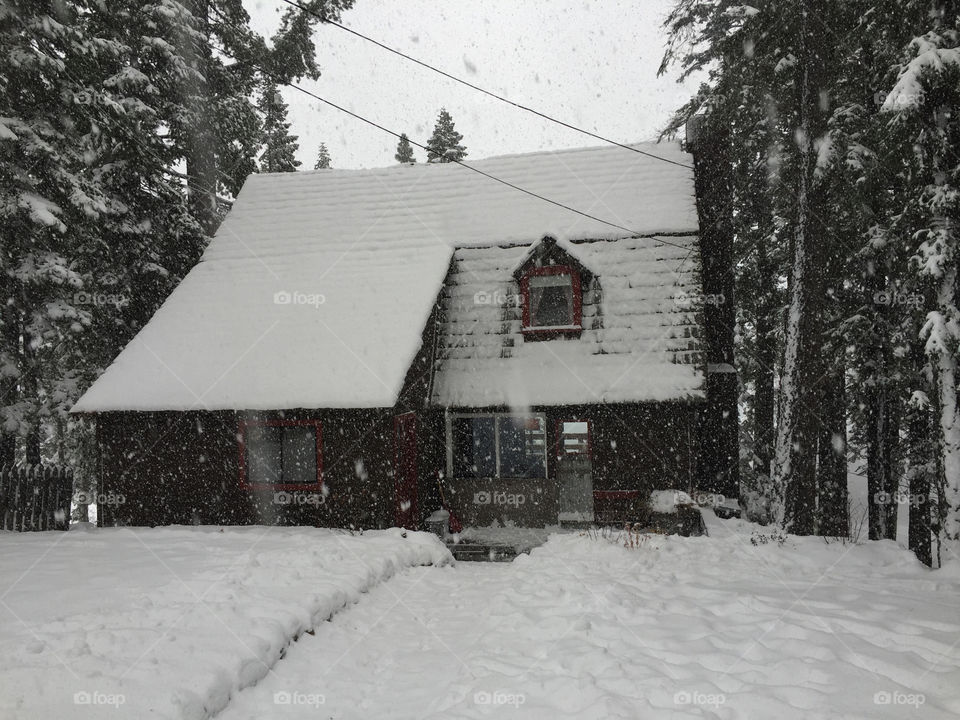 Snowy cottage
