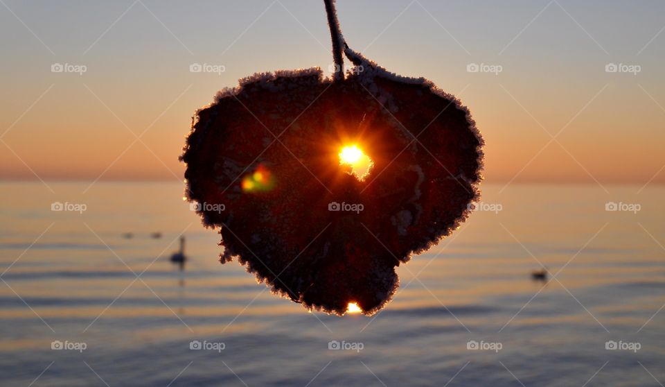 Sunset, Water, Beach, Dawn, Sea