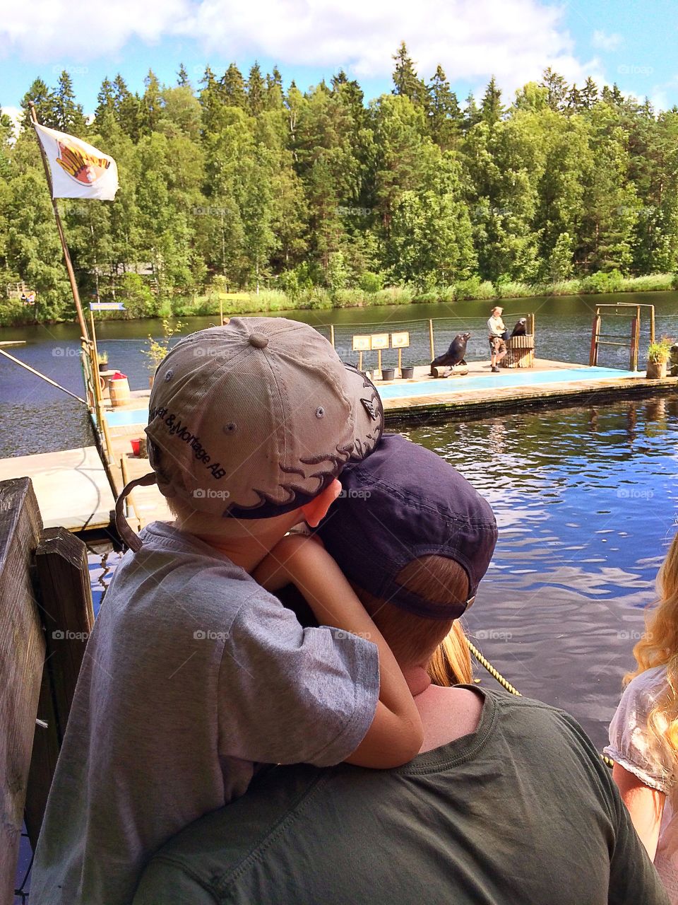 Show. Father and son is watching a show with seals