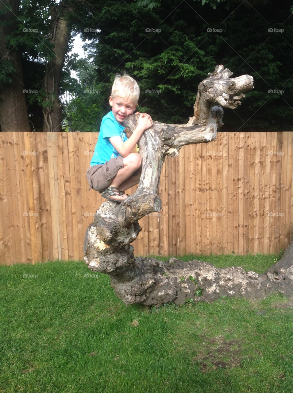 Boy crouching on tree trunk