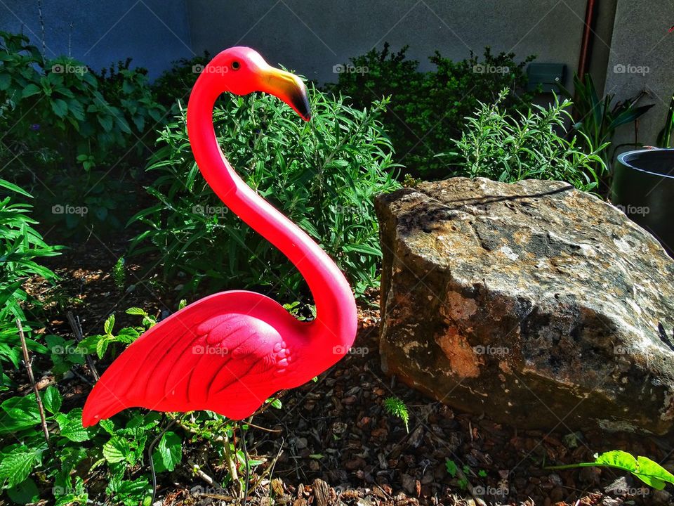 Plastic pink lawn flamingo