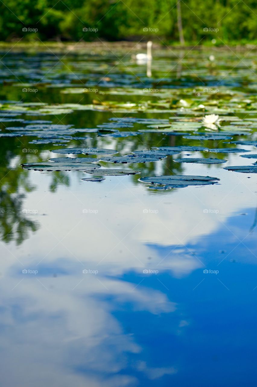 Same inspiration, different canvas