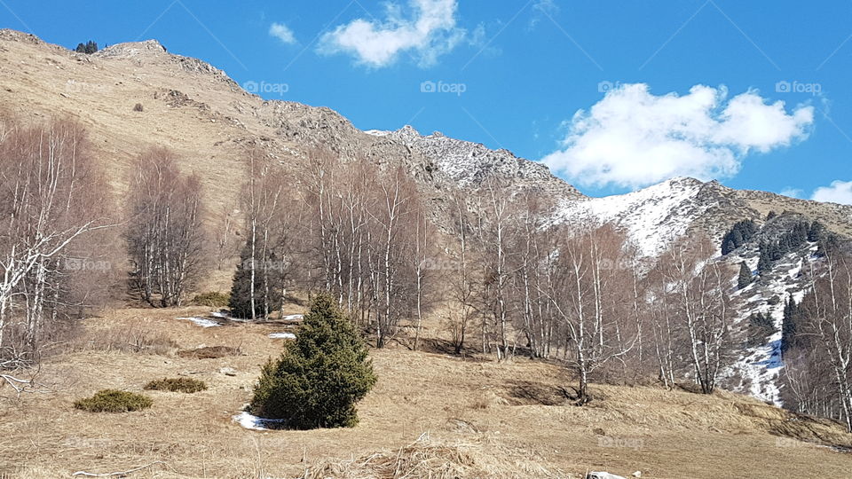 Almaty mountains in early spring