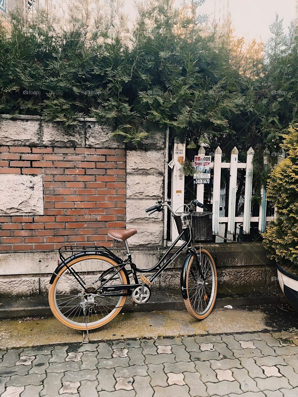 bicycle and the wall