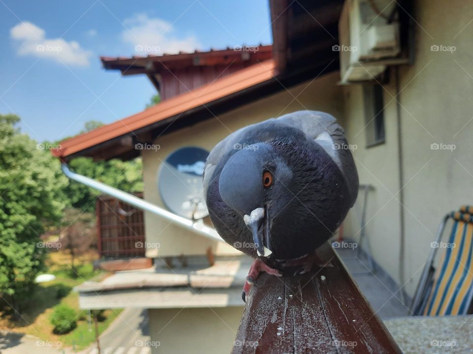 Enjoying a beautiful sunny day with my friend