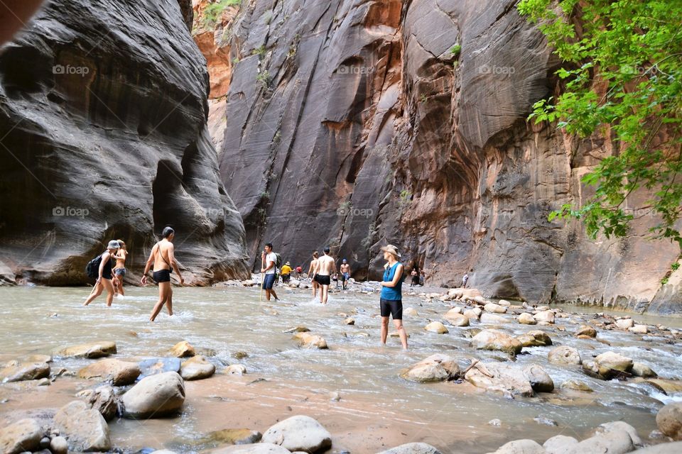 Pieole hiking in Zion Narrows 