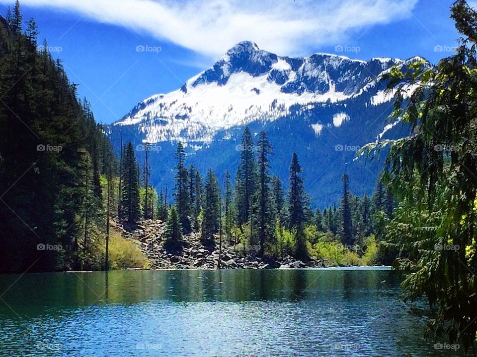 Beautiful hike to Lindeman Lake. The new Spring growth was bursting forth, but the snow was still deep higher up.
