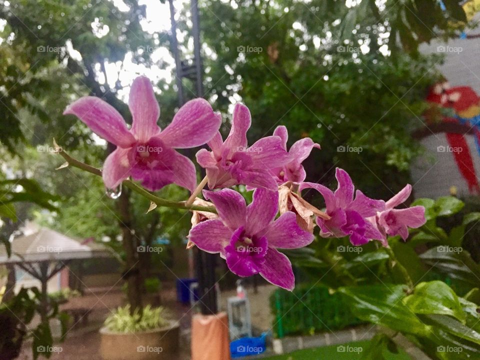 Just like a flower, you will bloom if you take time to water yourself :)