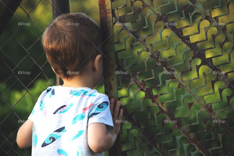 Boy watching through rusty fence