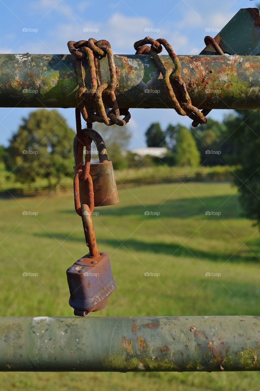 Old locks on a rusty gate