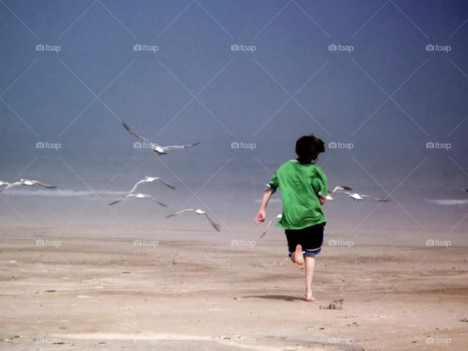 boy runs after seagulls