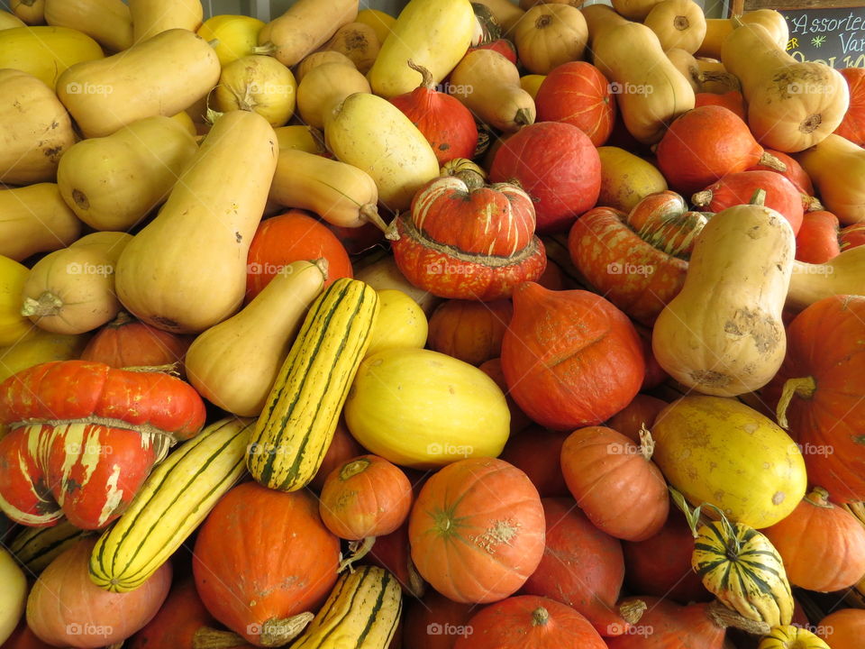 Full frame of yellow and orange pumpkin