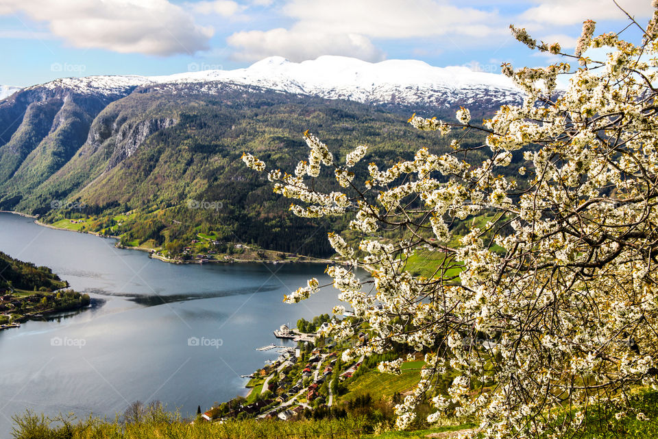 Spring in Hardanger. 