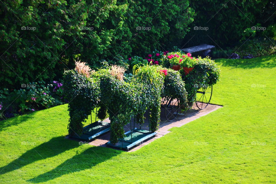 Horse and Carriage Topiary