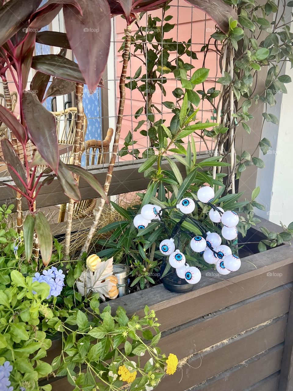 Halloween decorations in a flower box. Eyeball bush included with the flowers.