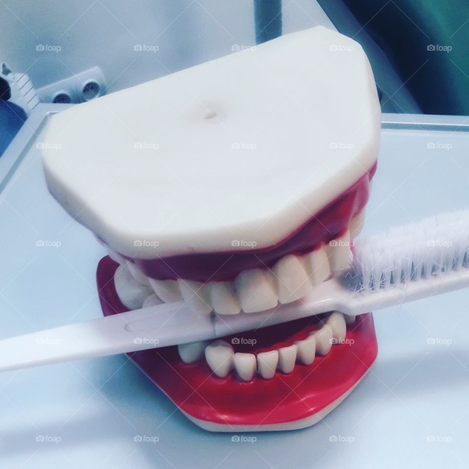 Tooth, Teeth, Dentistry, Dental, Toothbrush