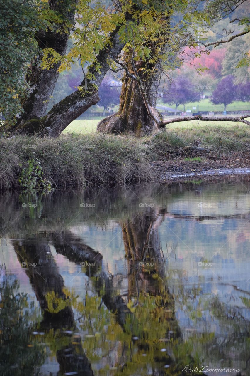The natural colors of Fall in Killin, Scotland... 