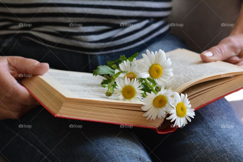 book in the female hands and camomile flowers, love summer time