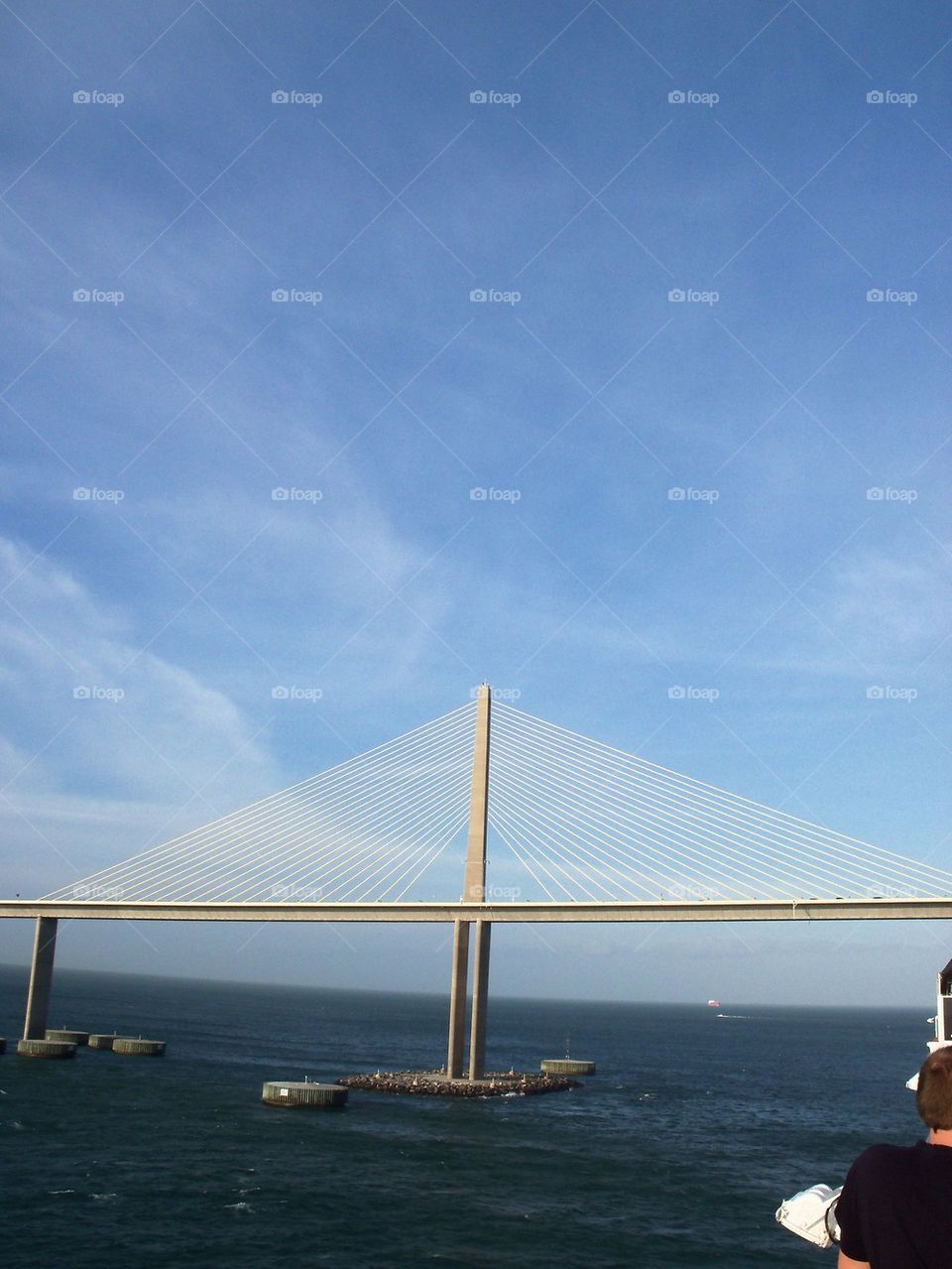 Sunshine Parkway Bridge Fl