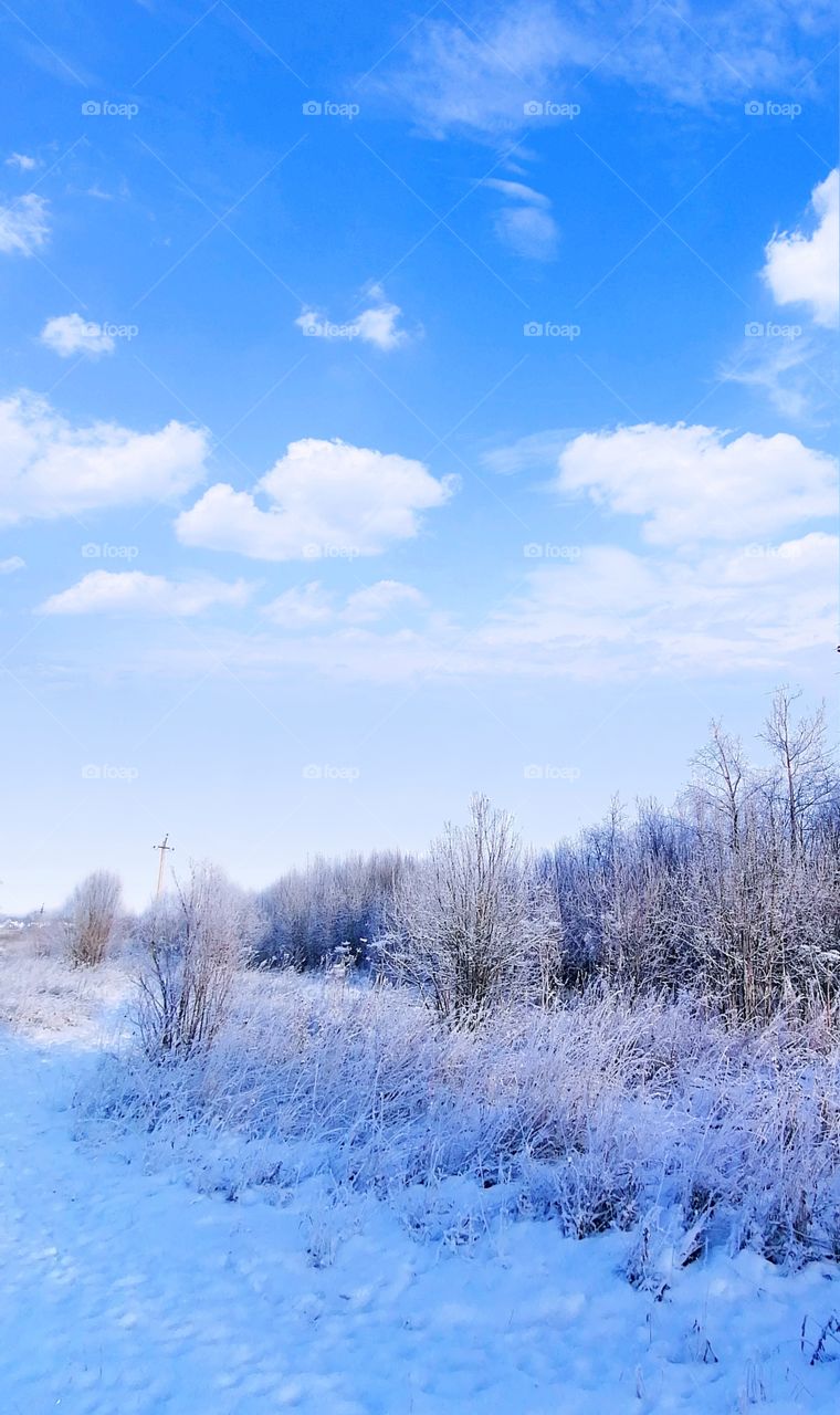 marvelous frosty day чудный морозный день