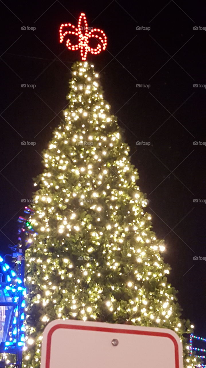 Christmas  Tree .