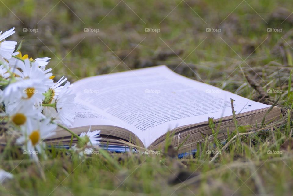 man reading a book