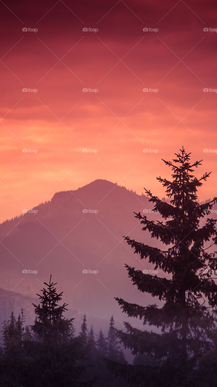 An inspiring purple mountain landscape. Tatry mountains in Slovakia. A beautiful wallpaper for smartphone screen. Purple abstract gradient with perspective.