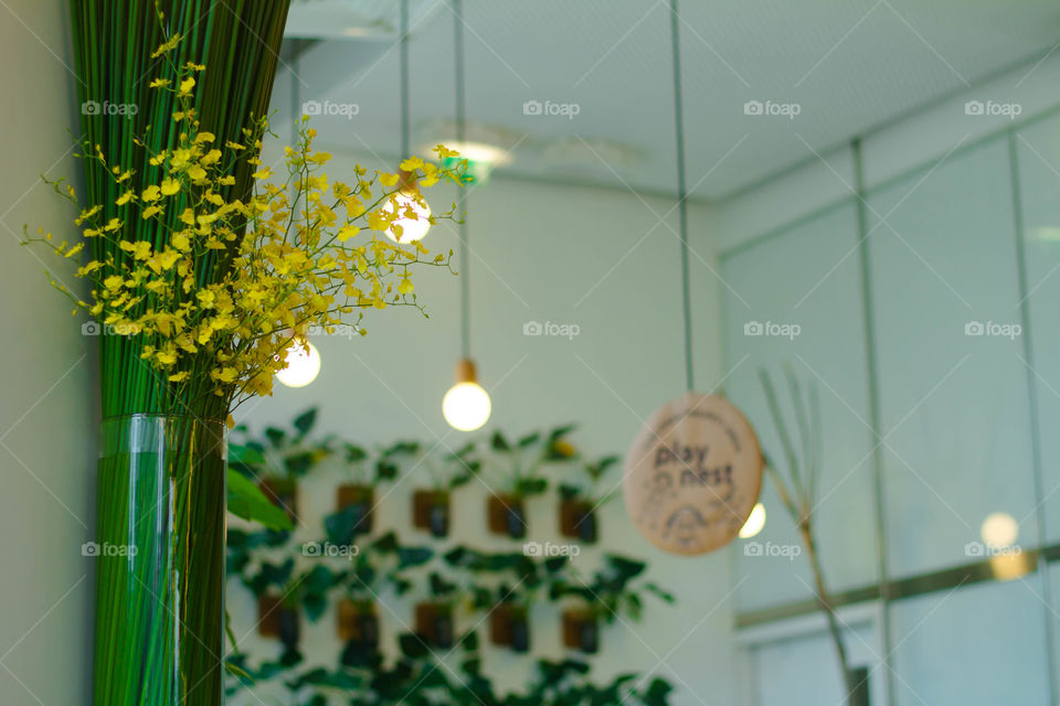 House plants decorations