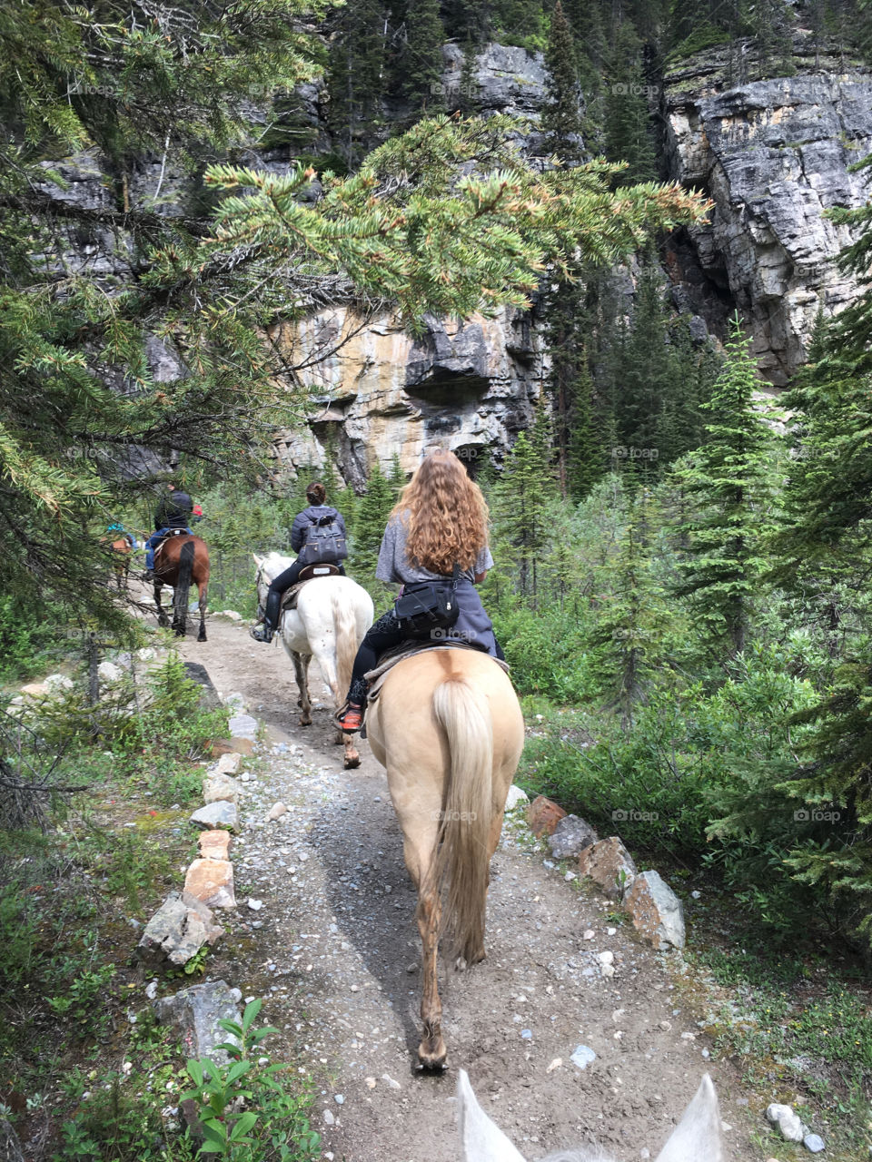 Our line of horses headed up the trail on the mountains surrounding Lake Louise. 