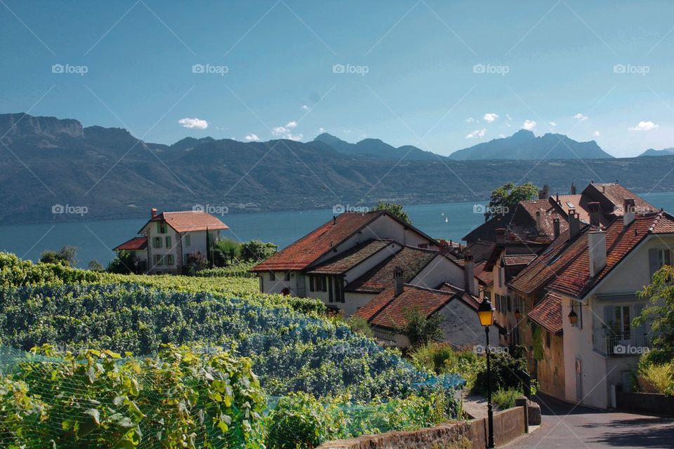 Countryside of Switzerland