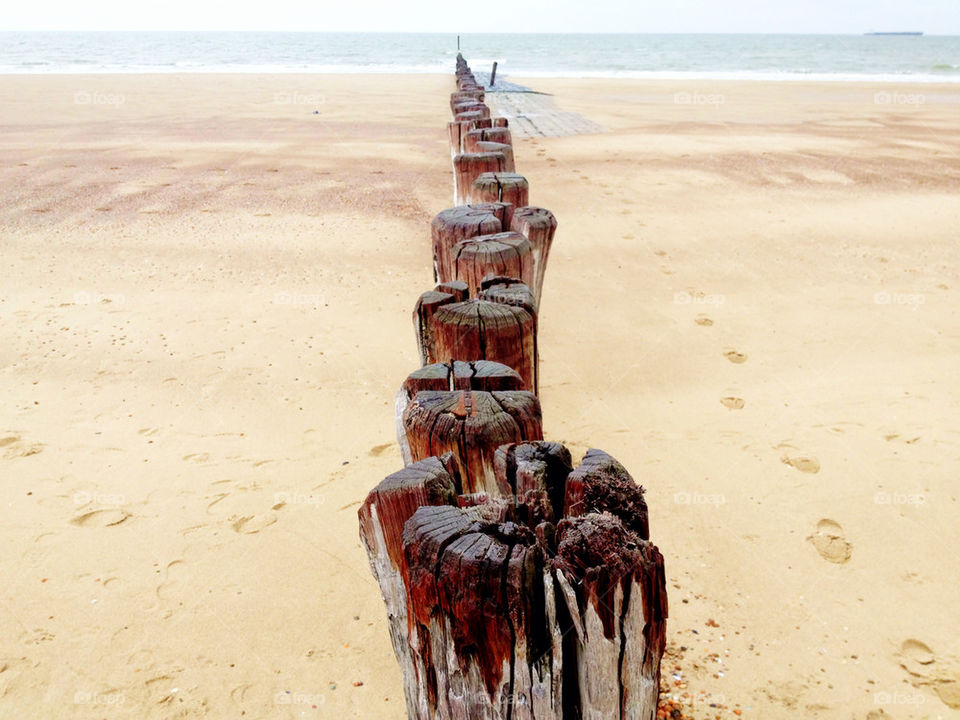 Row of wooden post on the beach
