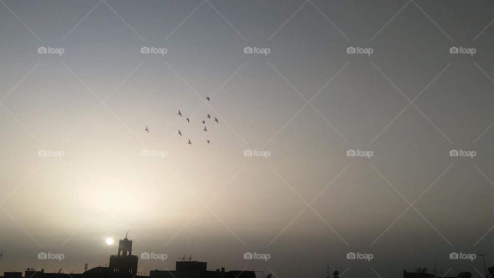 Behind the minaret are flocks of pigeons flying in the sky depositing the sunset.